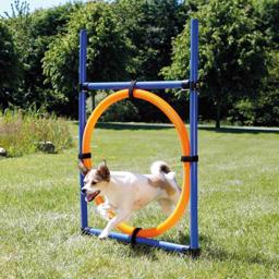 Trixie Agility Ring Med Steglös Höjdjustering Ø65 cm